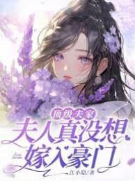 顶级夫家,夫人真没想嫁入豪门
