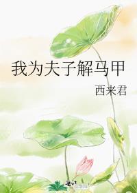 我为夫子解马甲