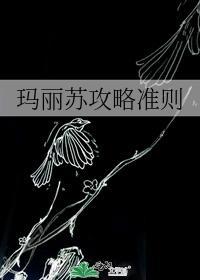玛丽苏攻略准则