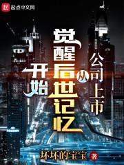 公司上市从觉醒后世记忆开始