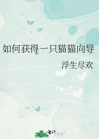 如何获得一只猫猫向导