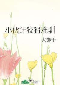 小伙计狡猾难驯