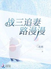 战三追妻路漫漫