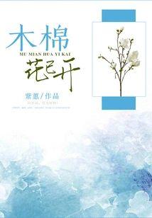 木棉花已开