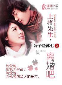 上将先生，离婚吧