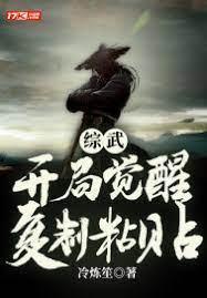 综武：开局觉醒覆制粘贴