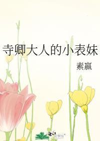 寺卿大人的小表妹