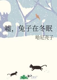 嘘,兔子在冬眠