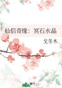 仙侣奇缘:冥石水晶