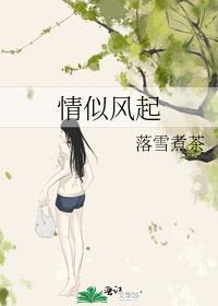 情似风起