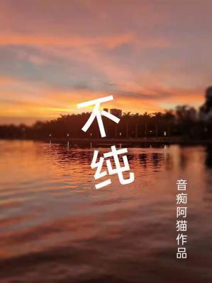 不纯