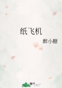 纸飞机
