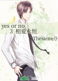yes or no 3 相爱永恒