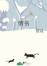 情书