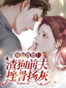 开局离婚!渣狗前夫,挫骨扬灰