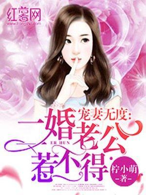 宠妻无度:二婚老公惹不得