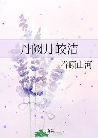 丹阙月皎洁