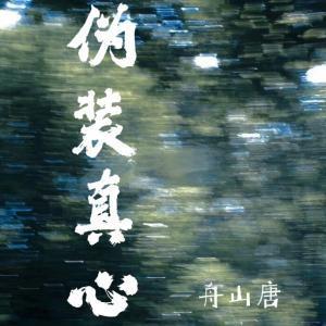 伪装真心