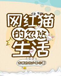 网红猫的忽悠生活