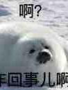 废灵根同时舔几个修真大佬后翻车
