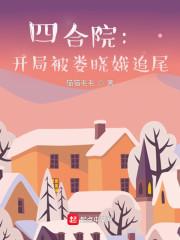 四合院:开局被娄晓娥追尾
