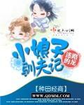 小娘子驯夫记