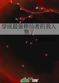 穿成最强修仙者的我入赘了