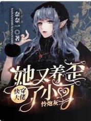 快穿：狂虐主角的大佬一心宠炮灰