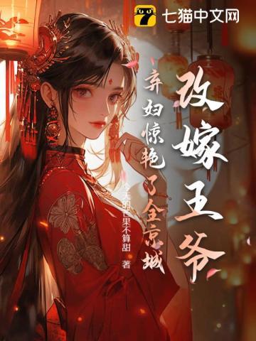 改嫁王爷,弃妇惊艷了全京城