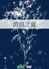 流浪之夏