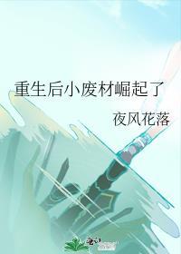 重生后小废材崛起了