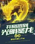 武魂:开局签到光明圣龙