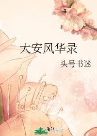 大安风华录