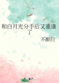 和白月光分手后又重逢了