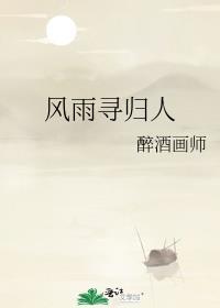 风雨寻归人