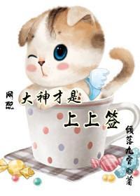 大神才是上上签(网配)