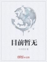 红楼之庶子称雄