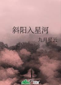 斜阳入星河