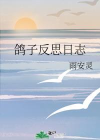 鸽子反思日志