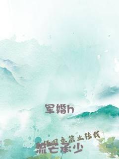军婚h
