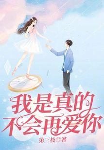 我是真的不会再爱你