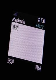 晚香(1v1)