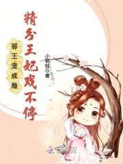 邪王宠成瘾:精分王妃戏不停