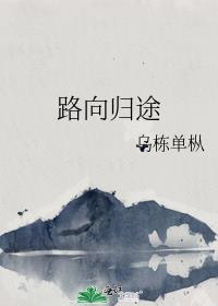 路向归途