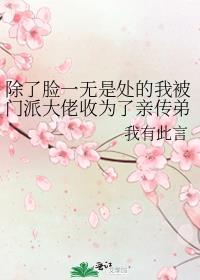 除了脸一无是处的我被门派大佬收为了亲传弟子