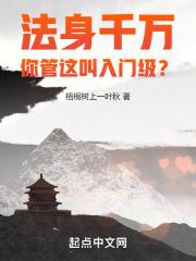 法身千万,你管这叫入门级?