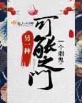 另一种可能之门