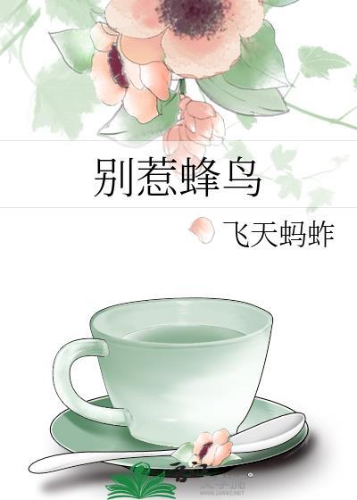 别惹蜂鸟