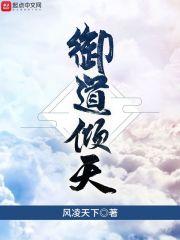 风凌天下作品