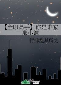 【全职高手】你是谁家那小谁